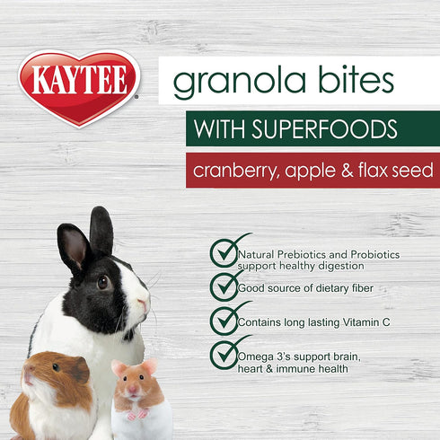 Chinchillas, 4.5 oz Kaytee Granola Bites with Superfoods Cranberry, Apple and Flax for Rats, Mice, Hamsters, Gerbils