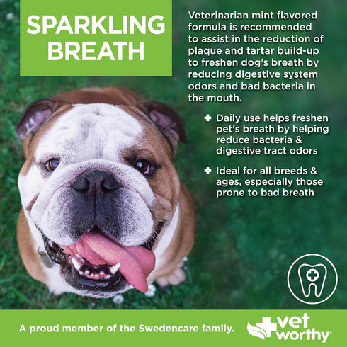 (16 oz) Vet Worthy Sparkling Breath Dog Mouthwash Water Additive - Dog Dental Care for a Healthy Mouth and a Fresh