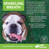 (16 oz) Vet Worthy Sparkling Breath Dog Mouthwash Water Additive - Dog Dental Care for a Healthy Mouth and a Fresh