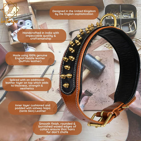Spike Dog Collar | Spiky Series | Premium Genuine Bridle Leather, Heavy Duty, Padded for Medium, Large, XL Breeds