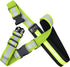 Illumiseen LED Reflective Belt Extension – Adds a max. of 19.6” to your Belt