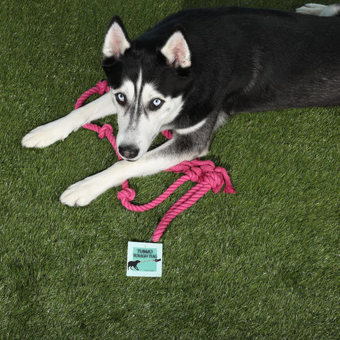 Tough Tug Rope Dog Toy - TUG of WAR Dog Toy (Pink 5 ft Long Strong Durable Rope Pull Toy with Handle)