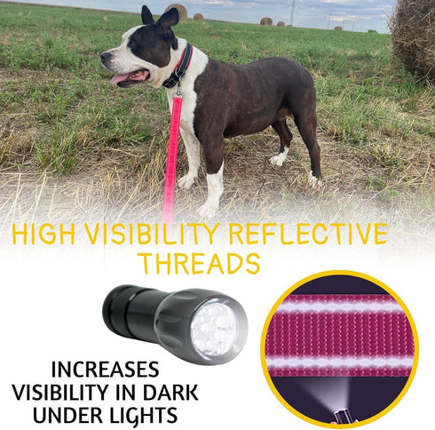 Heavy Duty Bungee Dog Leash - 6 ft - 7.5 ft for Large Medium Dogs, Reflective, Pink