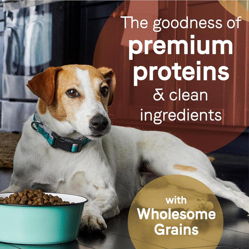 CANIDAE Pure Limited Ingredient Premium Adult Dry Dog Food: Real Salmon & Barley Recipe, 4 lbs