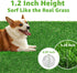 Artificial Grass 51.2"x26" 1 Pack - Fake Grass for Dogs Indoor Outdoor Potty Training Replacement Turf