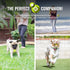 Hyper Pet MINI Tennis Balls for Dogs - 12 Pack, Interactive Dog Toys & Tennis Balls for Small Dogs, Great Dog Gifts