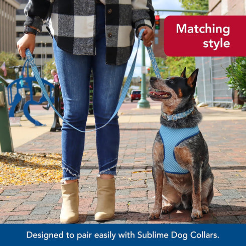 Coastal Pet Sublime Dog Leash, Fashionable Dual-Pattern Design, Colorful Trendy Pattern, Blue Waves with Blue Checkers,