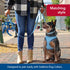 Coastal Pet Sublime Dog Leash, Fashionable Dual-Pattern Design, Colorful Trendy Pattern, Blue Waves with Blue Checkers,