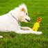 Set 3 Pack PetLike Latex Dog Chew Toy Durable Non-Toxic Squeaky Fetch Toy for Small Medium Chicken Dog Toys