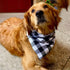 Realeaf Dog Bandanas 2 Pack, Reversible Plaid Pet Scarves, Classic Triangle Dog Bibs for Small Dogs Cats