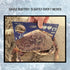 Fishernomics Crab Gauge - Blue & Silver Crab Ruler, Measuring Tool for Dungeness Crab, Rock Crab and Blue Crab