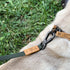 Dog Leash, 4 FT Nylon Pet Leash with Leather Handle for Large Medium Dogs, Reinforced Connection (Army)