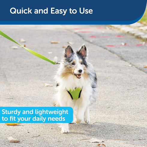 PetSafe Nylon Dog Leash - Strong, Durable, Traditional Style with Easy to Use Bolt Snap - 3/4 in. x 6 ft., Apple Green