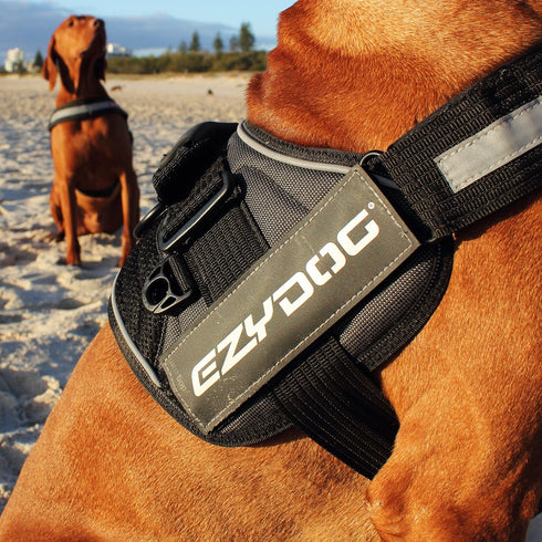 EzyDog Side Badge - Clearly Identifies Your Dog with Convert Dog Harness - Set of Two Badges (Rescue Dog, Small)