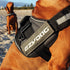 EzyDog Side Badge, Set of Two Badges, Clearly Identifies Your Dog, Ask to Pet, Large
