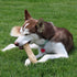 SPOT Coffee Wood Dog Chew Toy - 100% Natural Non-Splintering Wood for Aggressive Chewers, Durable for Medium Dogs and