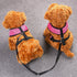 CozyCabin Dual Durable Dog Leash Strap, No-Tangle for 2 Dogs, Cats, Small Pets for Walking & Training