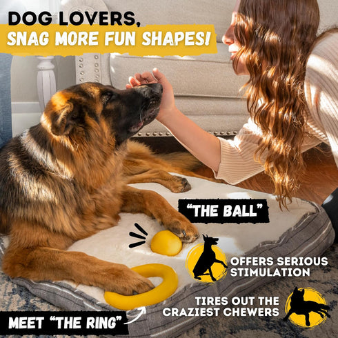 Indestructible Dog Disc, Lifetime Replacement, Heavy Duty Natural Rubber Toy for Medium & Large Breeds