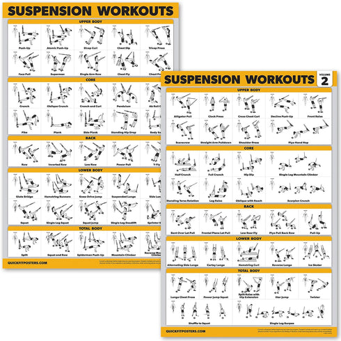 Palace Learning 2 Pack Suspension Workout Posters, Laminated Exercise Charts 18" x 24" Volume 1 & 2
