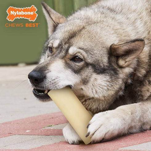 Nylabone Dura Chew Giant Marrow Bone Alternative, Beef Flavor Dog Chew Toy (1 Count)