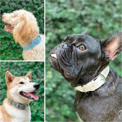 Tuff Pupper Classic Heavy Duty Dog Collar | Medium (15-19" Neck) | 100% Waterproof & Odor Proof | Tough Rust-Proof