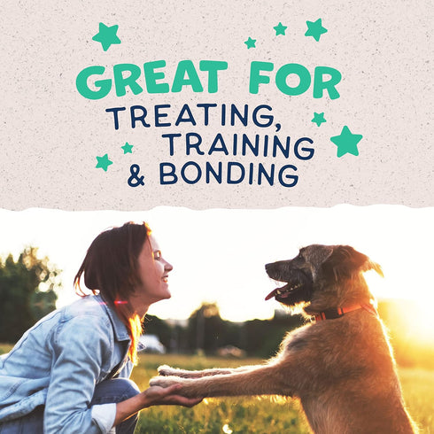Natural Balance Limited Ingredient Rewards Jumpin' Stix - Grain-Free Dog Treats, Chicken Recipe, 10 Ounce