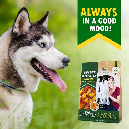 Dog Chew Treats Wrapped with Chicken & Sweet Potato - Grain Free Natural Snacks in Bulk for Dogs - Made in USA