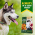 Dog Chew Treats Wrapped with Chicken & Sweet Potato - Grain Free Natural Snacks in Bulk for Dogs - Made in USA