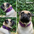 Tuff Pupper Ultra Comfort Padded Dog Collar | Thick Neoprene Padding | Waterproof Collar with Reflective Stitching