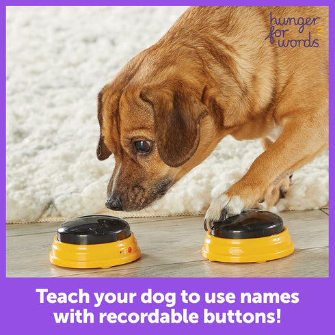 Hunger For Words Talking Pet Next Words Names - 3 Piece Set of Recordable Speech Buttons for Dog Training, Dog Buttons for Communication | Games & Stuff for Dogs