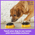 Hunger For Words Talking Pet Next Words Names - 3 Piece Set of Recordable Speech Buttons for Dog Training, Dog Buttons for Communication | Games & Stuff for Dogs