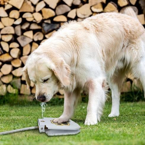 Dog Outdoor Fountain Step On | Paw Activated Drinking Pet Dispenser for Fresh Water