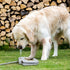 Dog Outdoor Fountain Step On | Paw Activated Drinking Pet Dispenser for Fresh Water