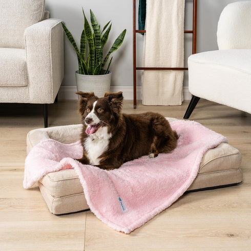 PetAmi Dog Blanket for Small Medium Dogs Pink, Fluffy Soft Puppy Blanket, Sherpa Fleece Cat Blanket for Kitten Doggie, Calming Pet Blanket Throw for Couch Sofa Bed Washable, Medium 29x40 by PetAmi