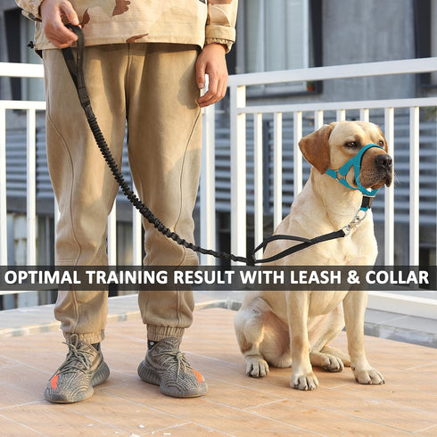 BARKLESS Soft No-Pull Head Collar for Dogs, Adjustable Halter Harness for Easy Training & Walking