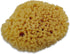 Hermit Crab Real Sea Sponges, 5 Pack Unbleached for Nutrients and Habitat Tank Humidity