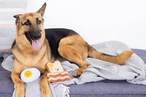 Set 3, Set, Set, Pearhead Barkfast Dog Toys, of Plush Pet Squeaker Toys, Breakfast Dog Toy Toast Bacon & Egg Toy Must