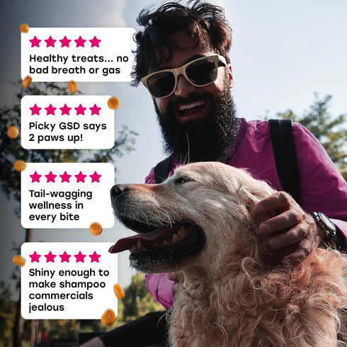 24-in-1 Dog Multivitamin Chews Dog Vitamins and Supplements with Glucosamine, Chondroitin, Probiotics, Salmon Oil