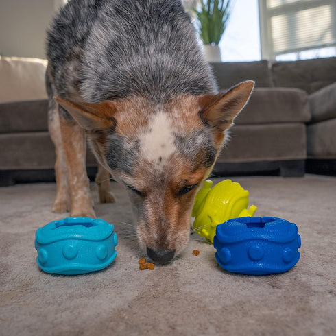 Outward Hound Treat Locking Discs - Dog Treat Dispenser Puzzle Toy