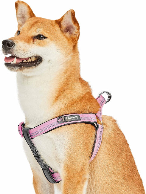 Blueberry Pet Soft & Comfy 3M Reflective Step-in Dog Harness, Baby Pink, Small, Chest Girth 15.5" - 19.5", Adjustable