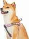 Blueberry Pet Soft & Comfy 3M Reflective Step-in Dog Harness, Baby Pink, Small, Chest Girth 15.5" - 19.5", Adjustable