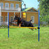 Dog Agility Training Equipment - Height Adjustable Jumper Hurdle Bar, Portable Obstacle Course Tool for Backyard