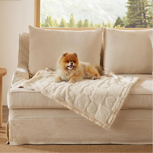 Bedsure Dog Blanket for Small Dogs, White, 25x35IN | Washable Soft Fluffy Puppy Blanket with Premium 300GSM Coral Fleece