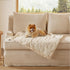 Bedsure Dog Blanket for Small Dogs, White, 25x35IN | Washable Soft Fluffy Puppy Blanket with Premium 300GSM Coral Fleece