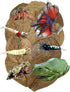 30 Awesome Aquatic Betta & Shrimp Leaves 4"-6" Premium Catappa Indian Almond Leaves for Natural Habitat