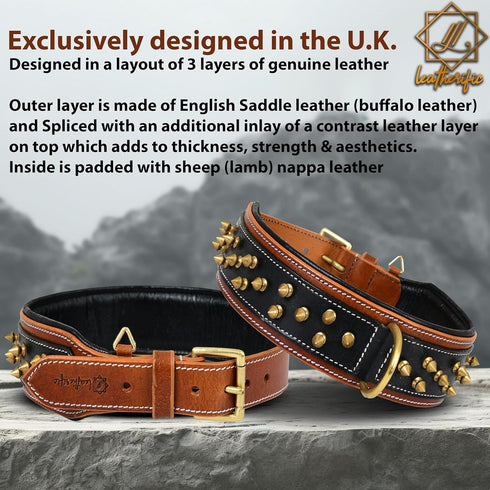 Spike Dog Collar | Spiky Series | Premium Genuine Bridle Leather, Heavy Duty, Padded for Medium, Large, XL Breeds