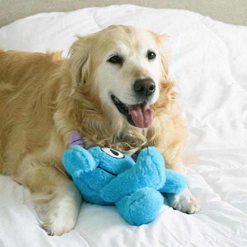 Flourish Pets 3 in 1 Dog Chew Toys for Aggressive Chewers, Non-Toxic, Long-lasting Plush Toys, Small, Blue Monster