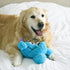 Flourish Pets 3 in 1 Dog Chew Toys for Aggressive Chewers, Non-Toxic, Long-lasting Plush Toys, Small, Blue Monster