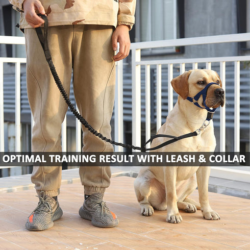 BARKLESS No-Pull Head Collar for Dogs, Soft Halter Harness with Expert Training Guide (M, Navy Blue)