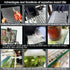 4 Aquarium Lid Hood Fish Tank Top Cover, Plastic Grid Panel Egg Crate Grate